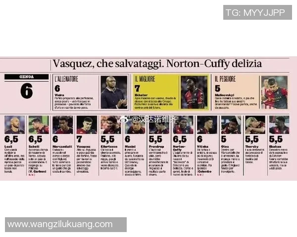 阿尔及利亚历史最具影响力与实力的足球球星综合实力排名分析